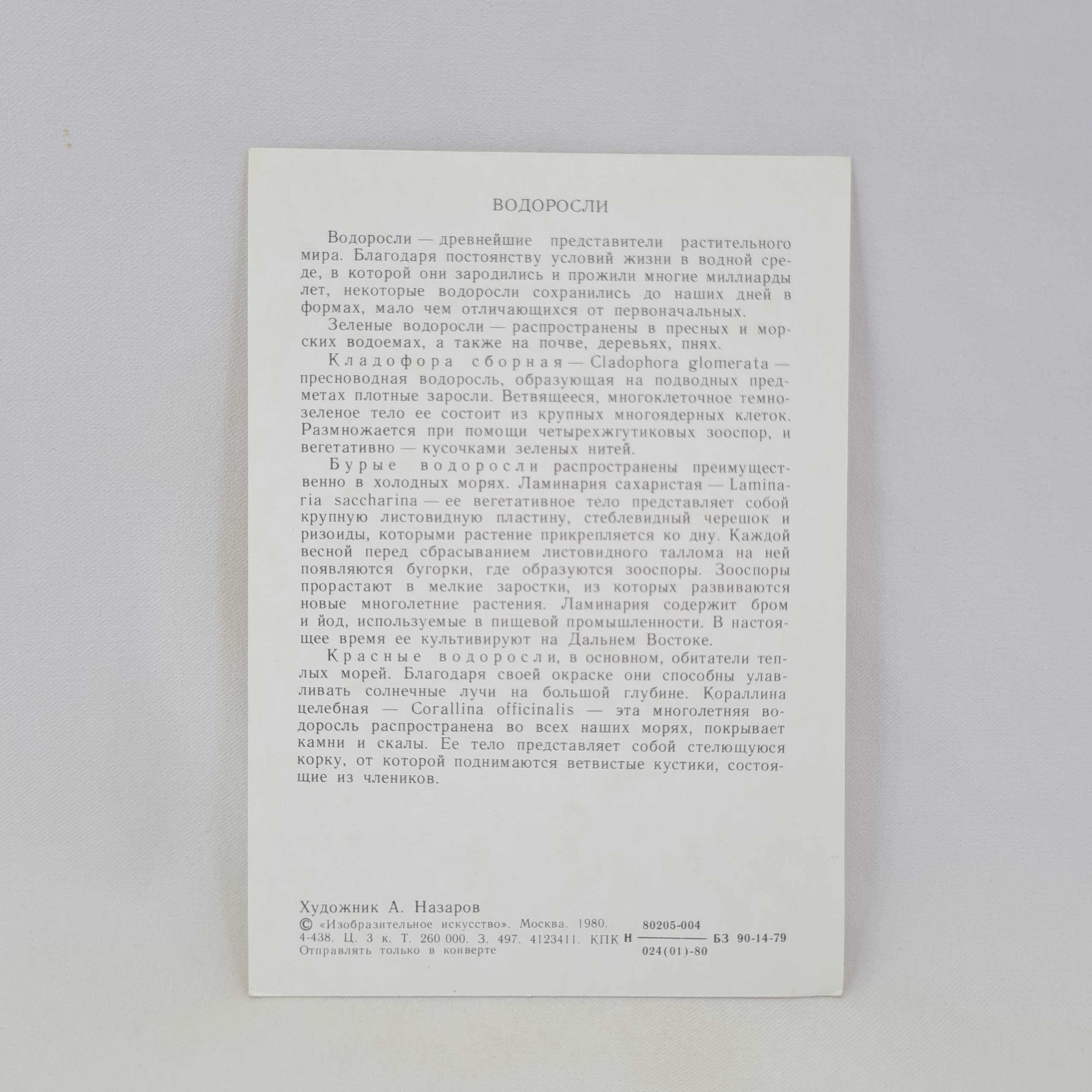 Картинка 2