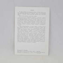 Картинка 2