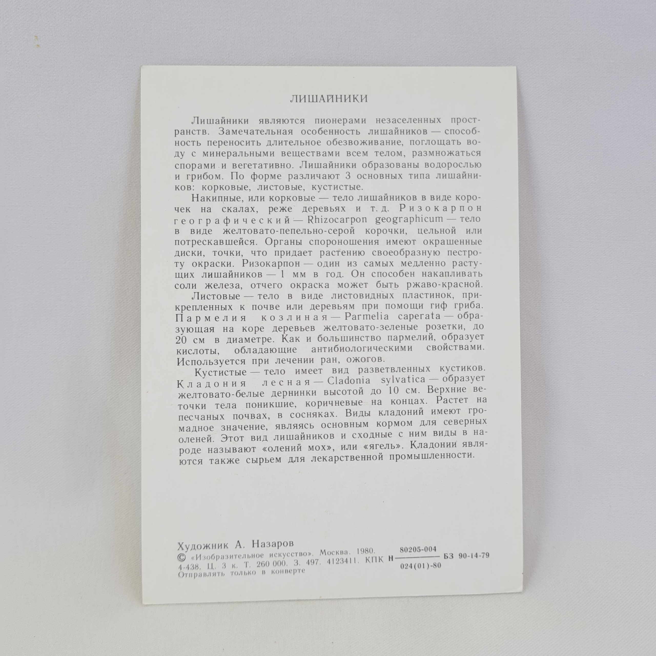 Картинка 2