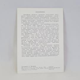 Картинка 2