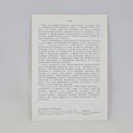 Картинка 2