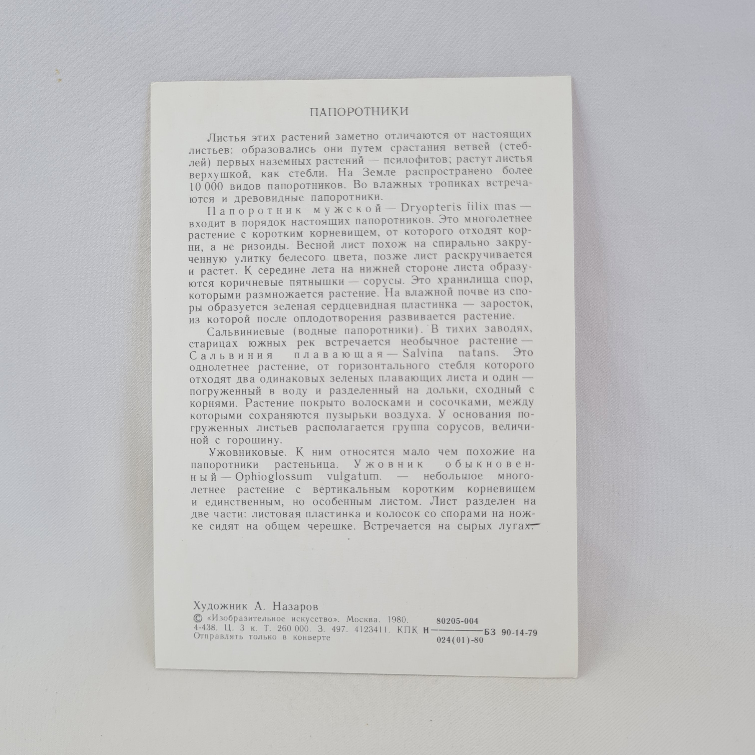 Картинка 2