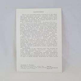 Картинка 2