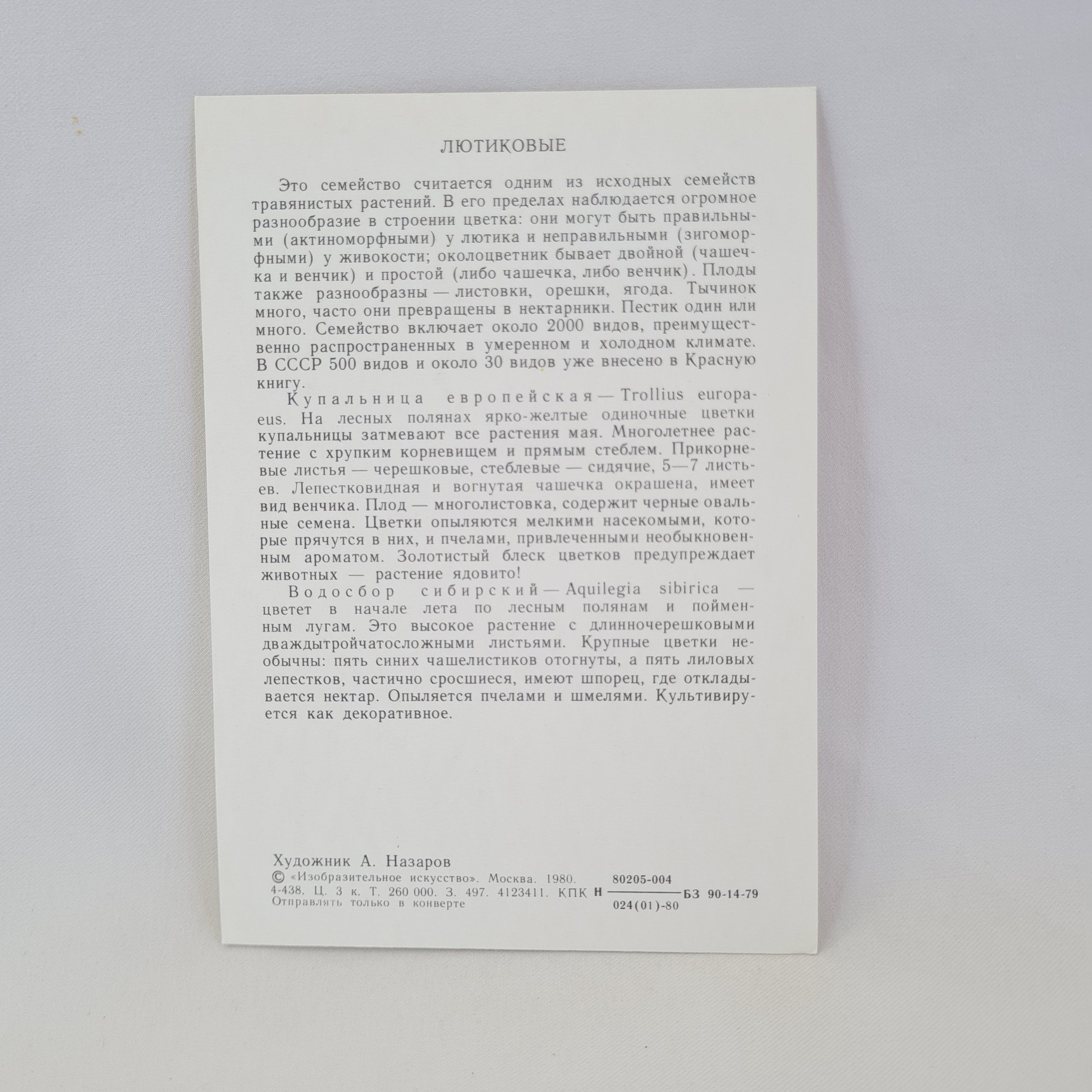 Картинка 2