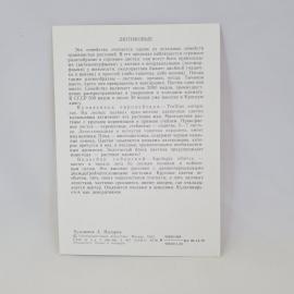 Картинка 2