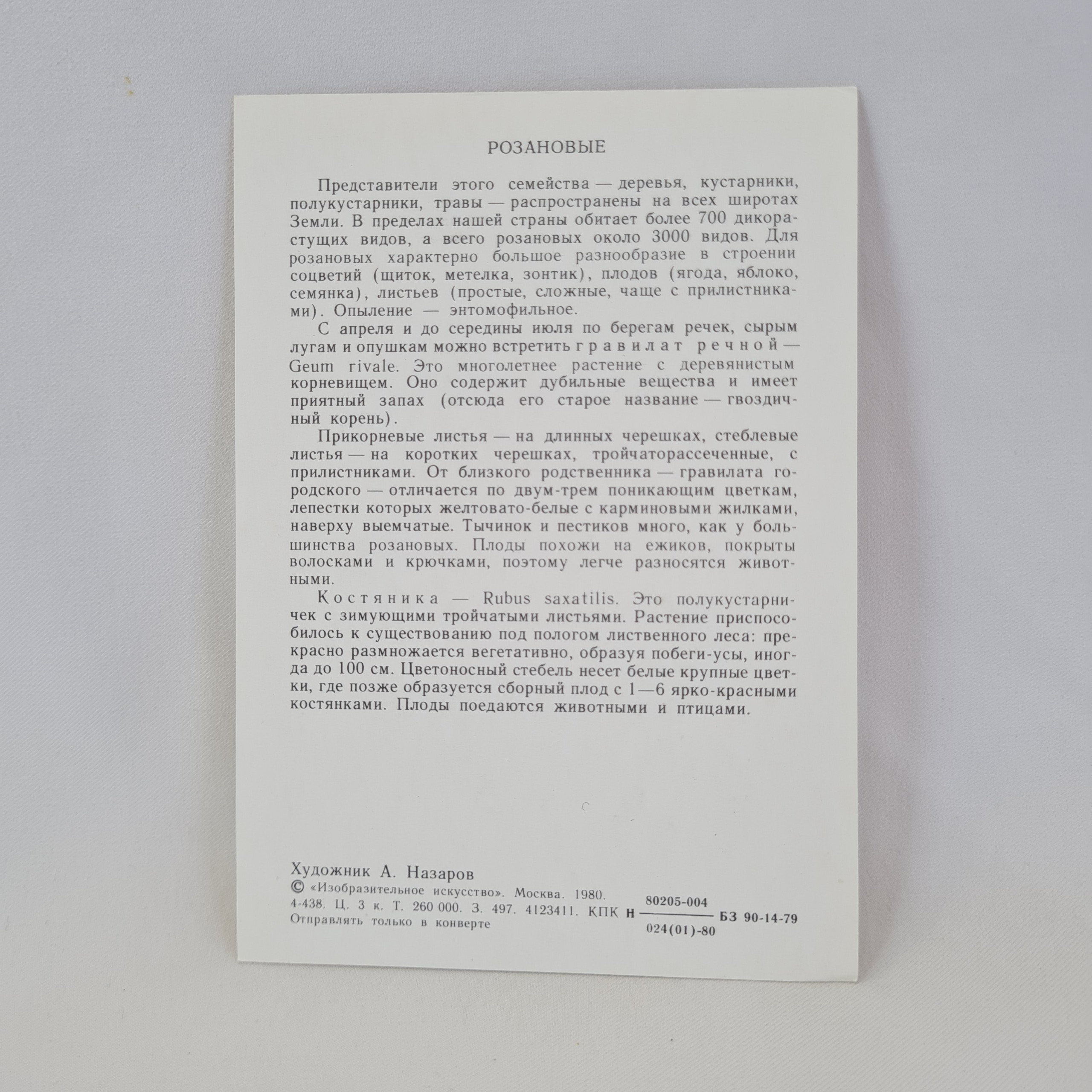 Картинка 2