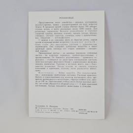 Картинка 2