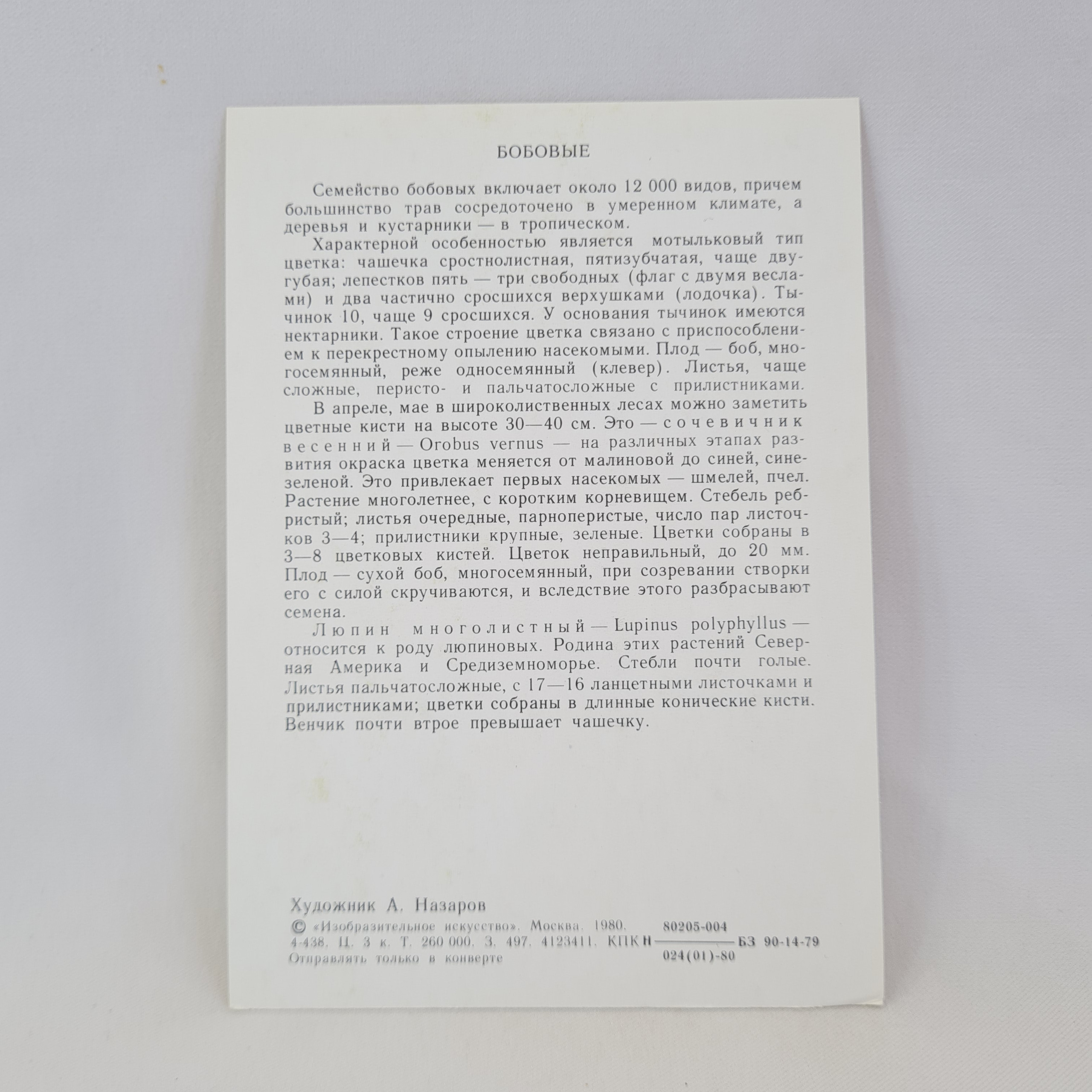 Картинка 2