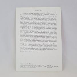 Картинка 2