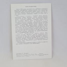 Картинка 2
