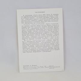 Картинка 2