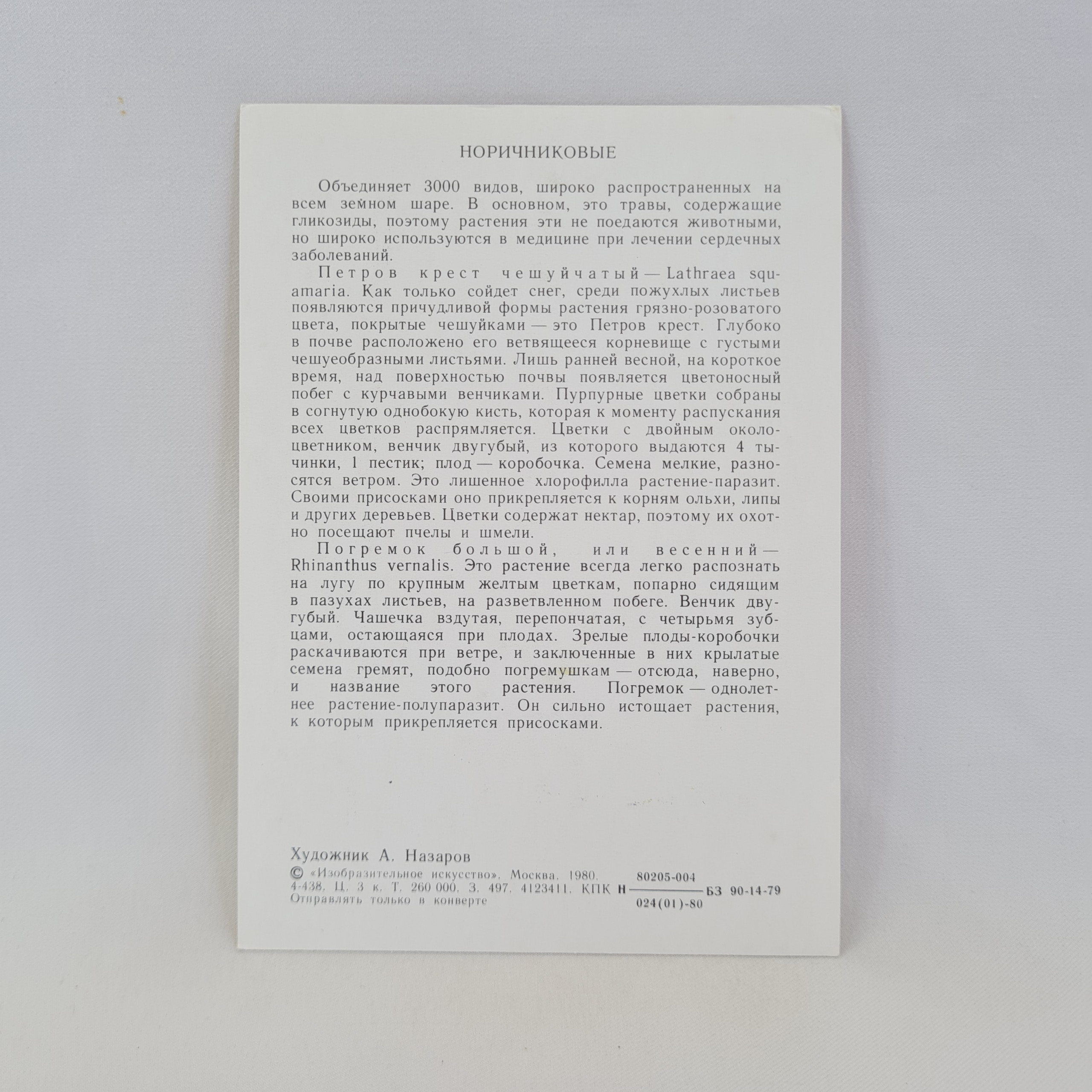 Картинка 2