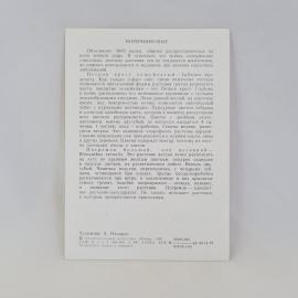 Картинка 2