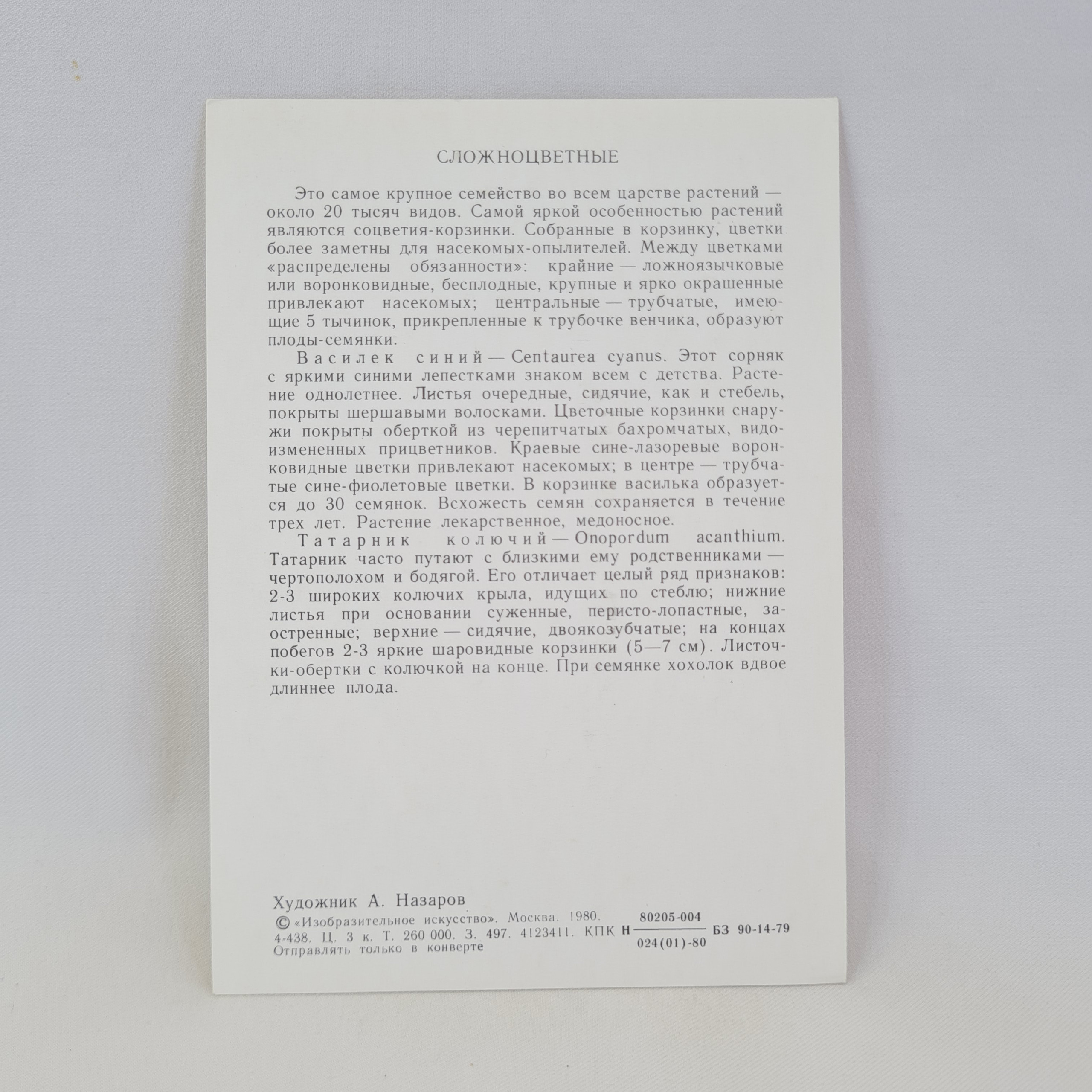 Картинка 2