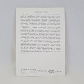 Картинка 2
