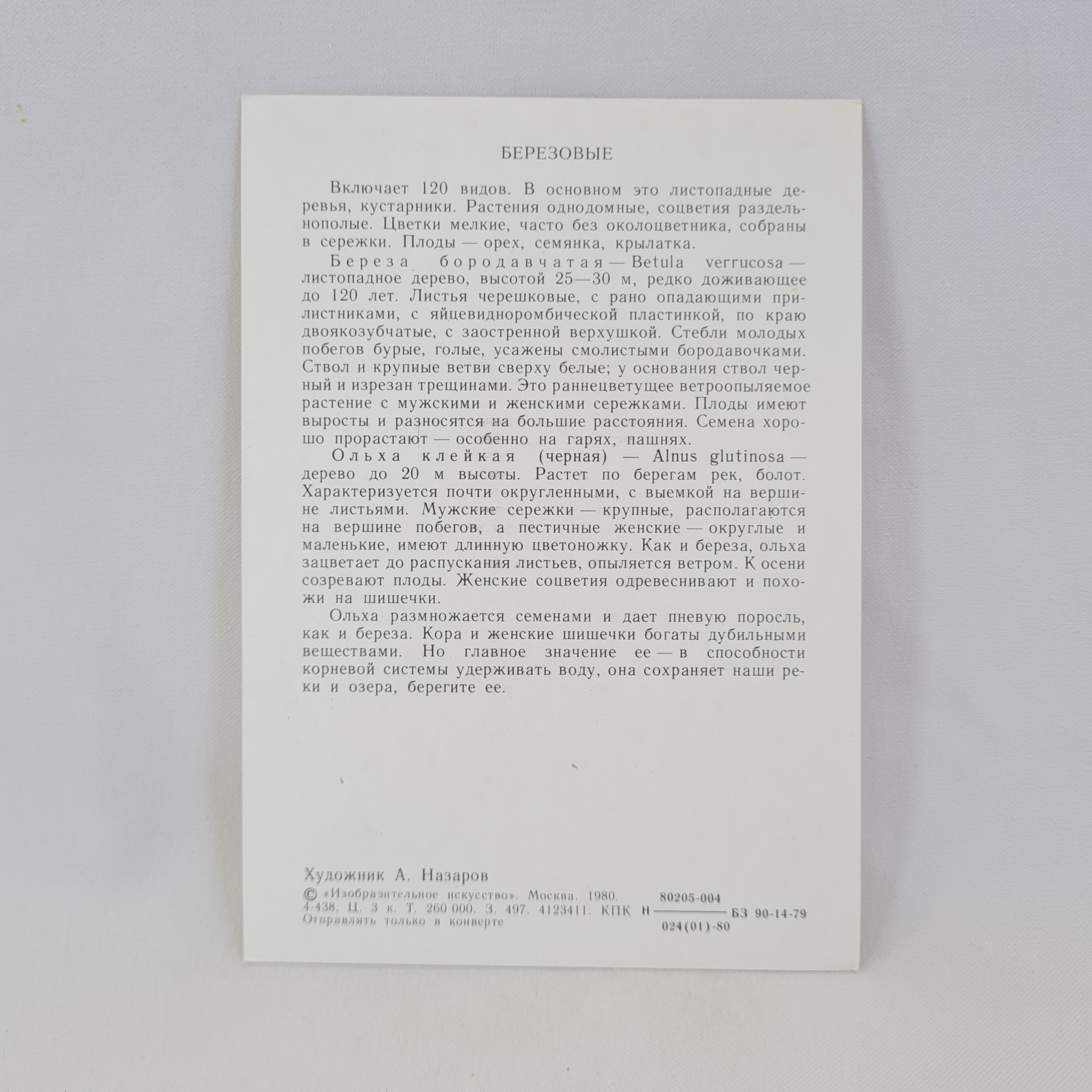 Картинка 2