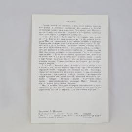 Картинка 2