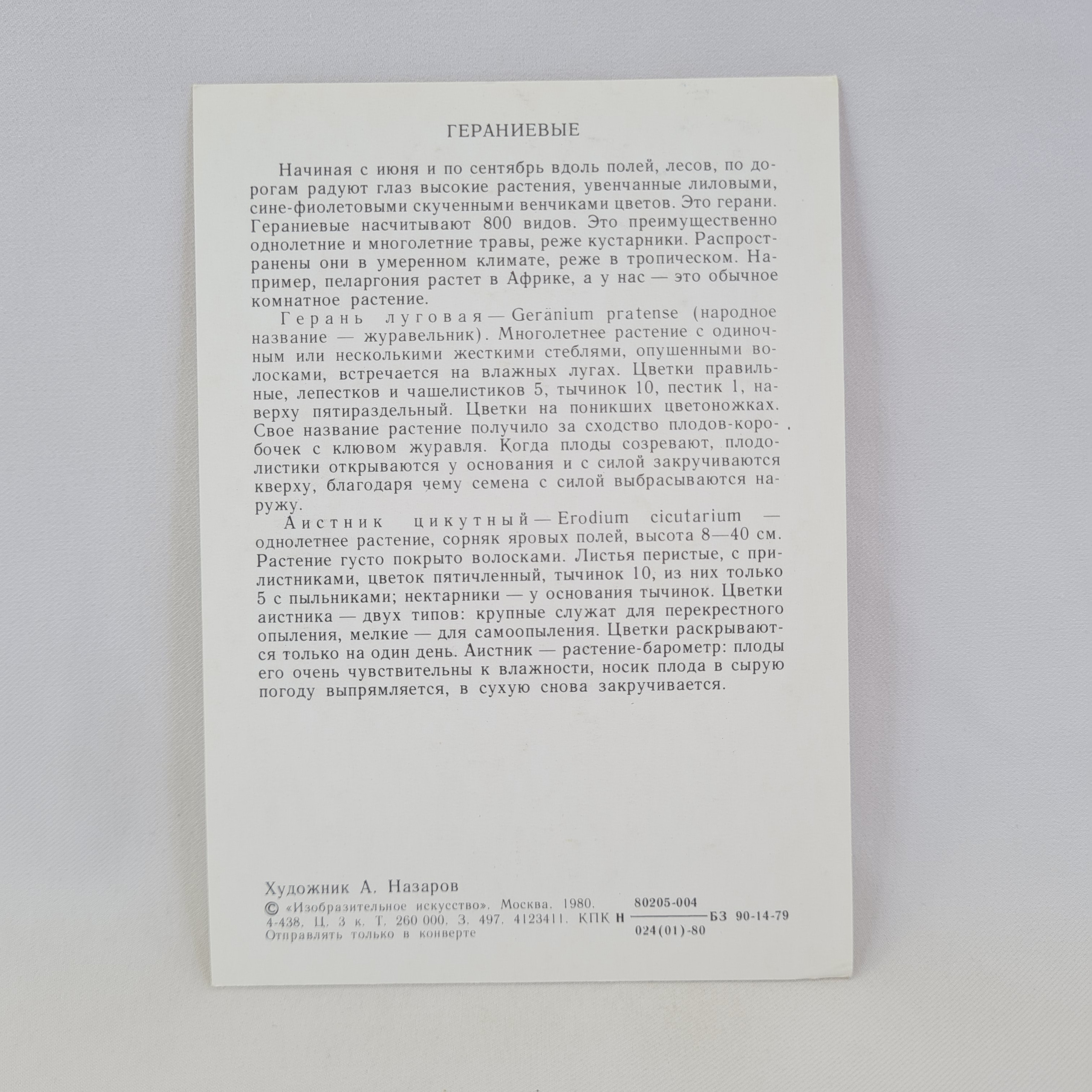 Картинка 2