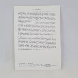 Картинка 2