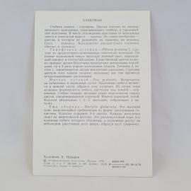 Картинка 2