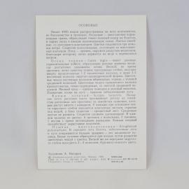 Картинка 2