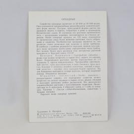 Картинка 2