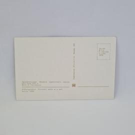 Картинка 2