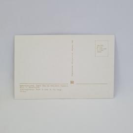 Картинка 2