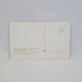 Картинка 2