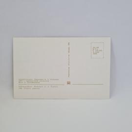 Картинка 2