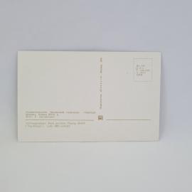 Картинка 2