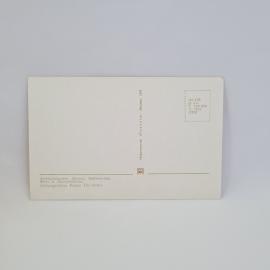 Картинка 2