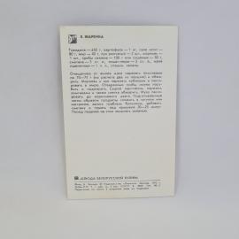 Картинка 2