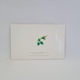 Картинка 3