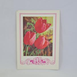 Открытка советская СССР. Красные маки, фотография Г. Костенко, художник Ю. Лукьянов. Винтаж