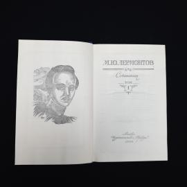 Картинка 3