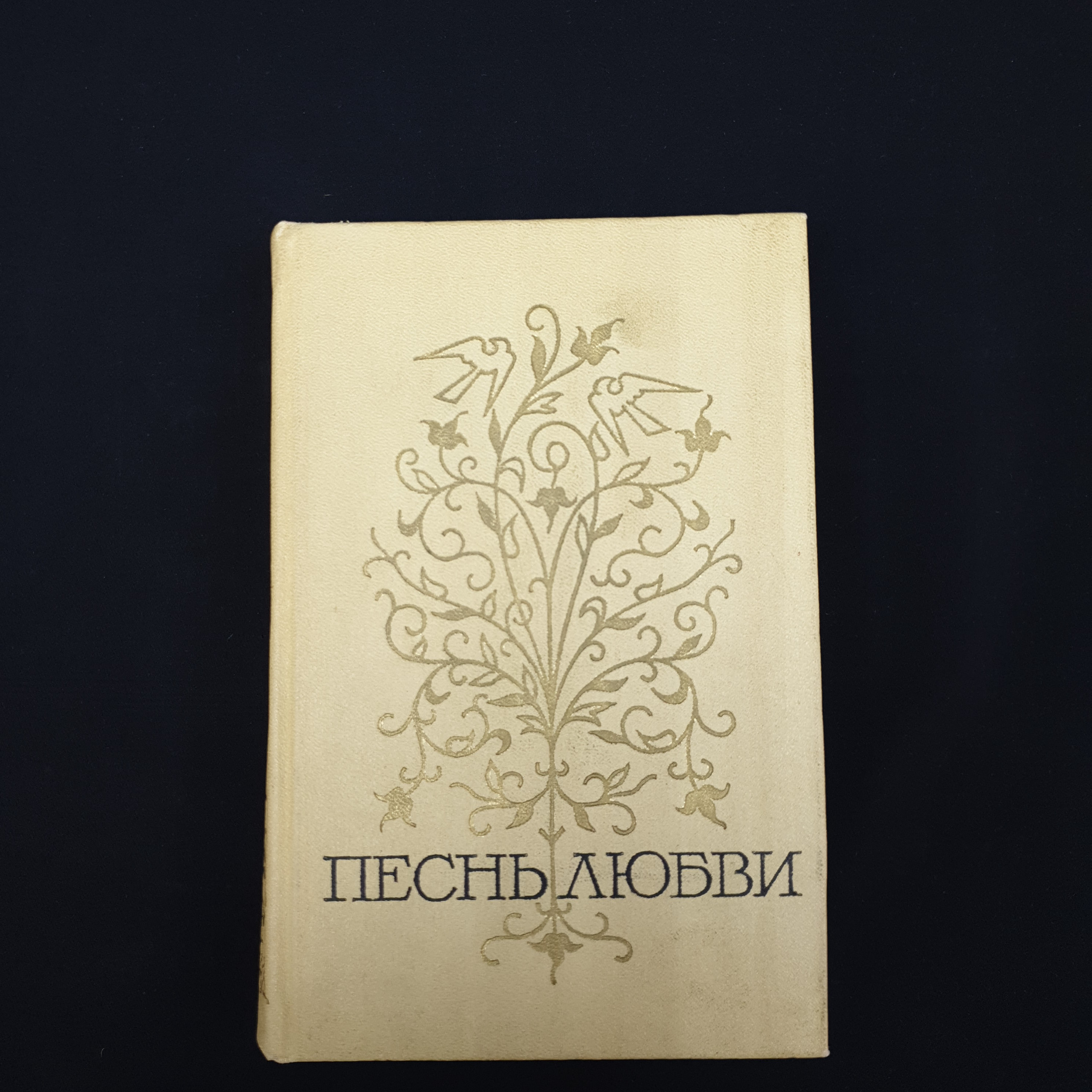 Картинка 1
