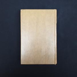 Картинка 6