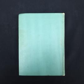 Картинка 6