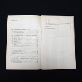Картинка 5