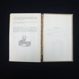 Картинка 5
