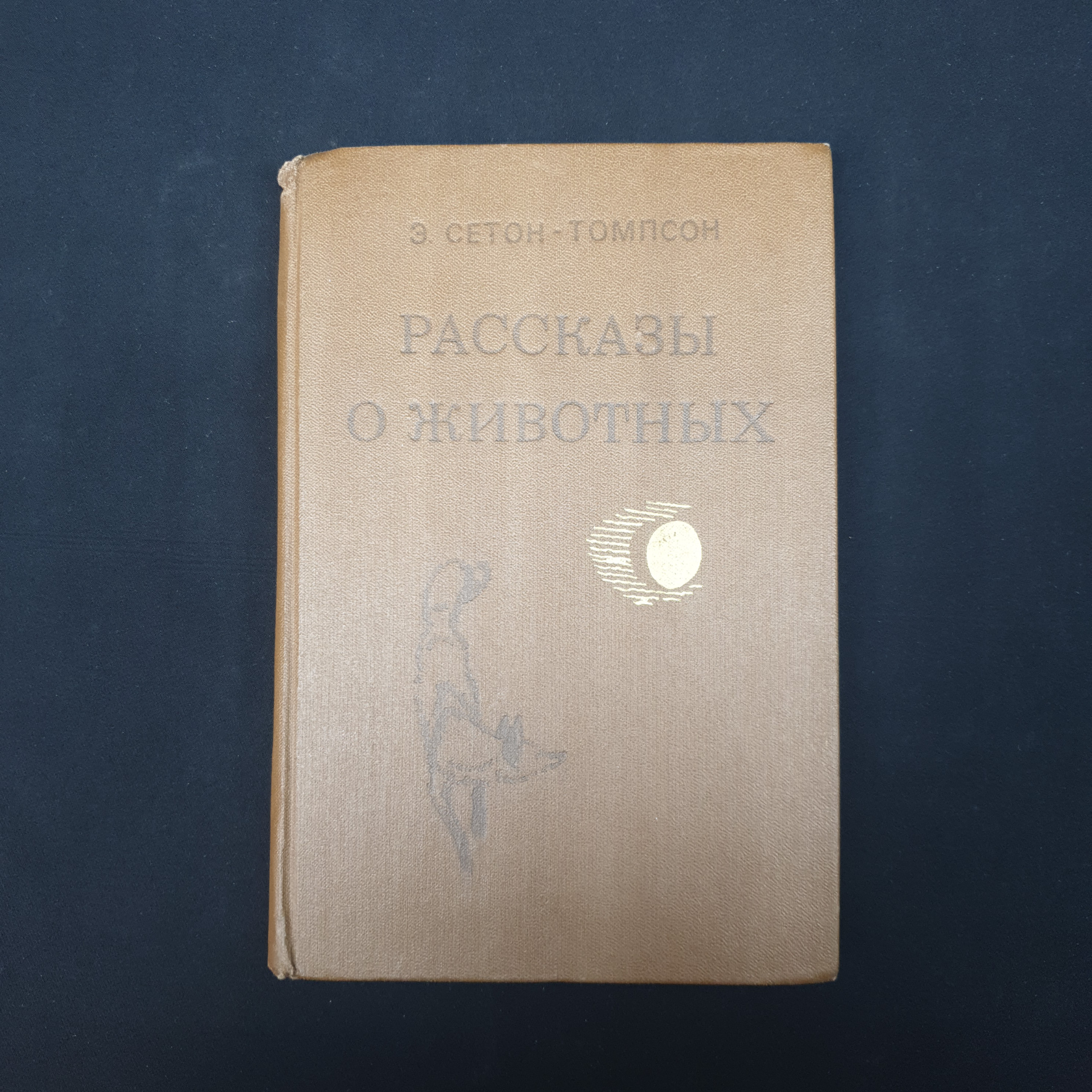 Картинка 1