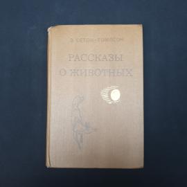Картинка 1