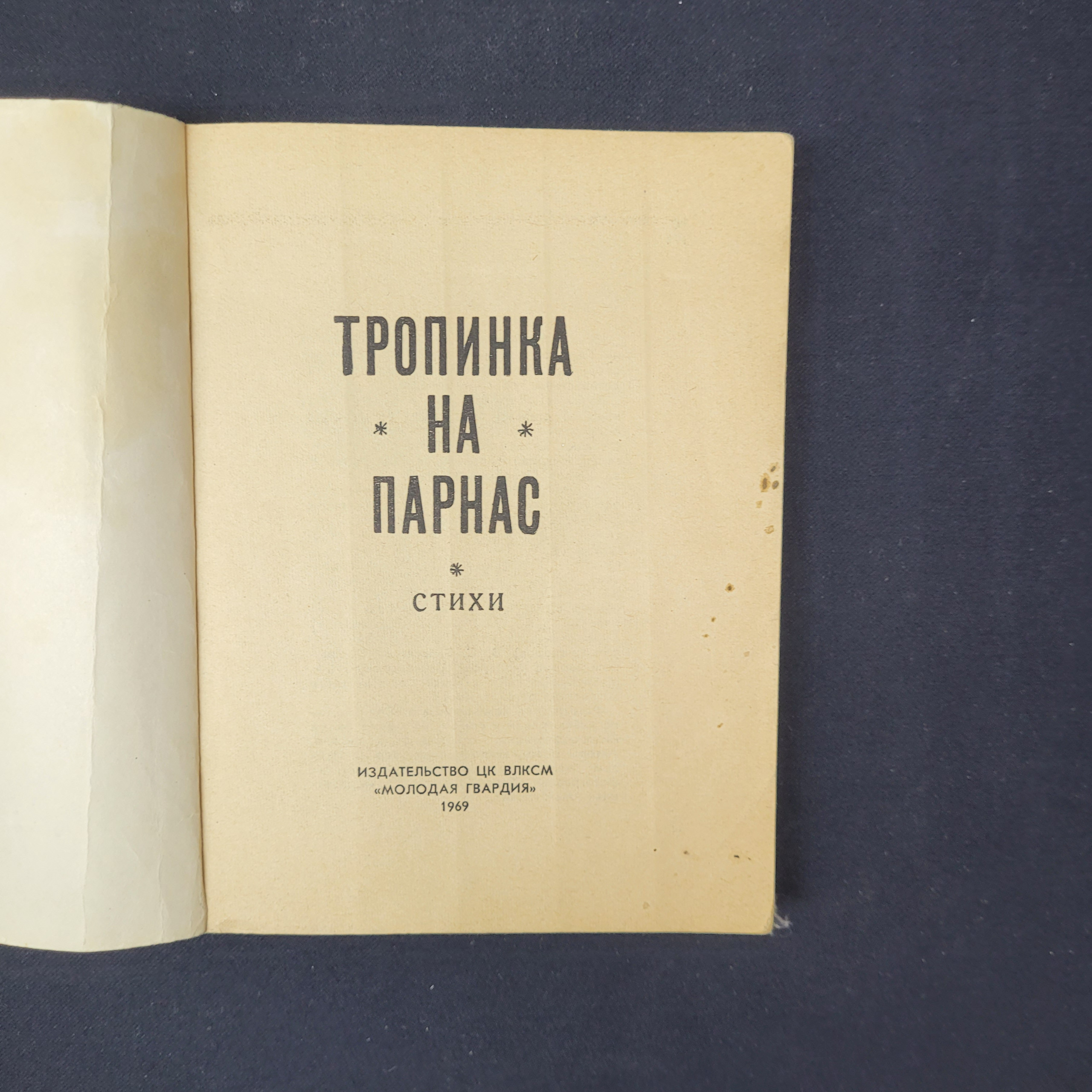 Картинка 4
