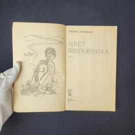 Картинка 4