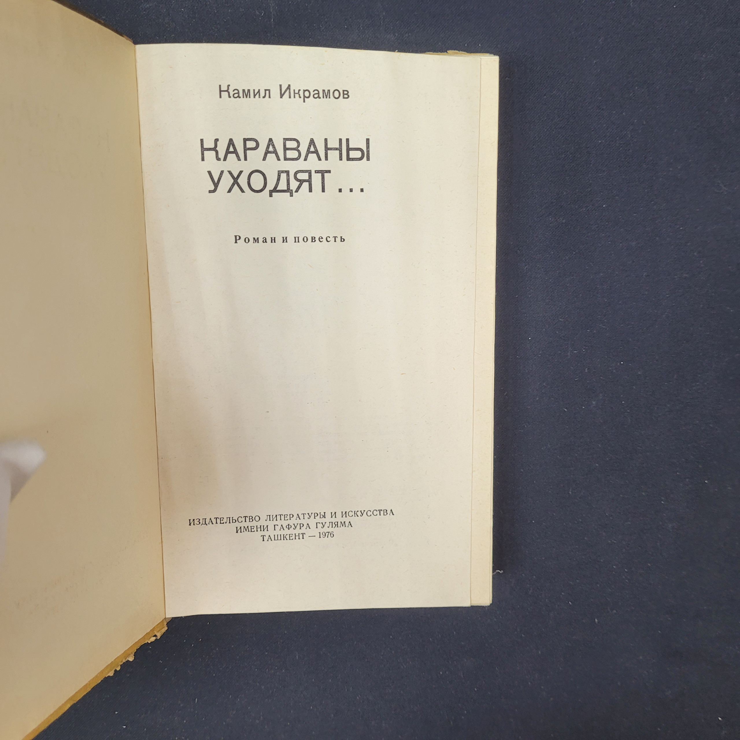 Картинка 4