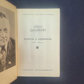 Картинка 4
