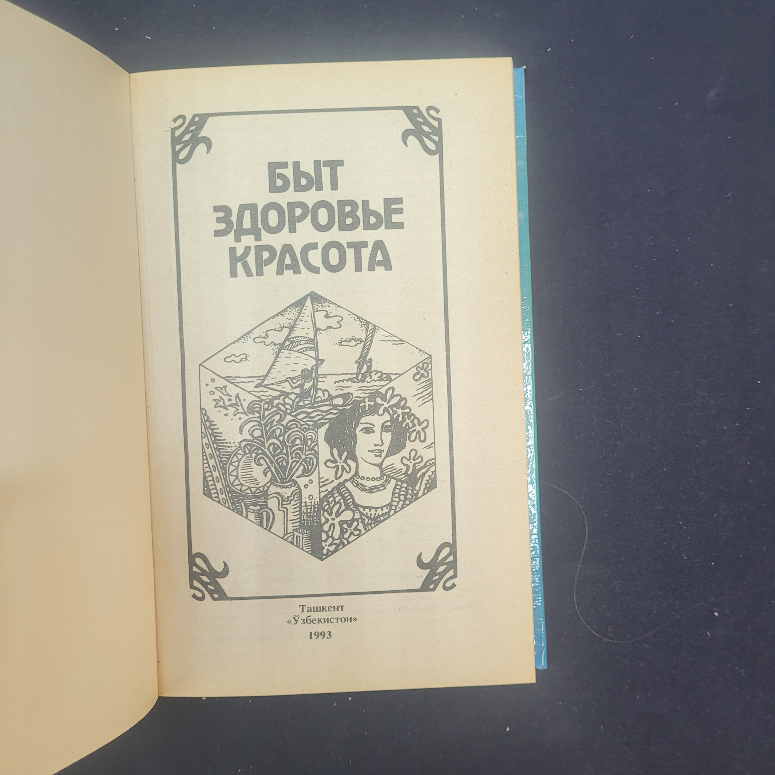 Картинка 4