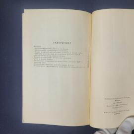 Картинка 5