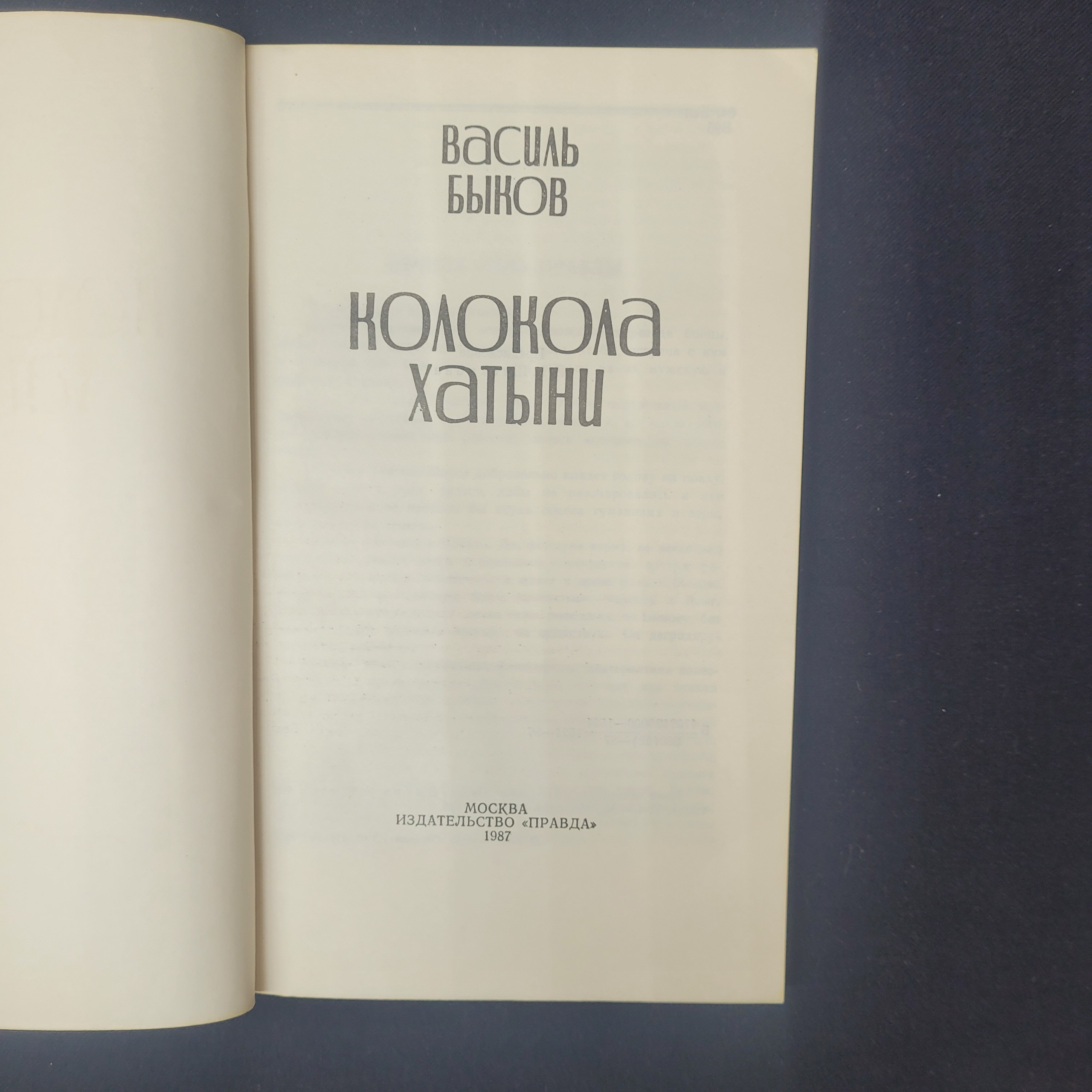 Картинка 4